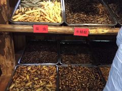自助取餐区-昆虫窝子·特色云南菜(拓东路总店)