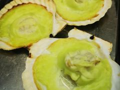 芥末扇贝-炒豆合作社(东四总店)