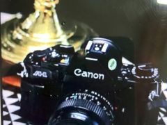 -利顺德大饭店·维多利亚花园(小白楼店)