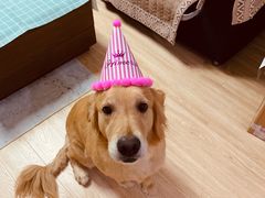 -榴芒先森生日蛋糕甜品台定制(1店诚信大道店)