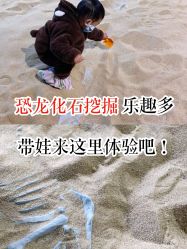 -恐龙探索乐园(磁器口店)