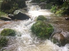 -赤水丹霞旅游区·佛光岩