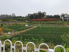 -南国桃园旅游度假区