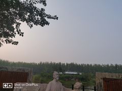 -合肥滨湖国家森林公园