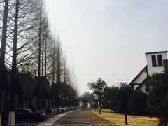 -太阳岛度假酒店