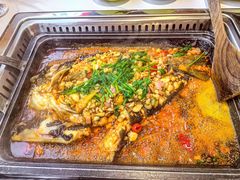 -黑猫馋纸包鱼(阳光店)