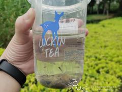 -苏州河梦清园环保主题公园