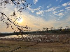 -盘龙城国家考古遗址公园