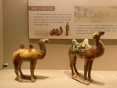 -深圳博物馆(古代艺术馆)