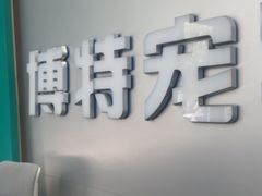 -博特宠物医院24h犬猫全科.骨科·异宠