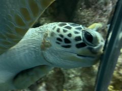 -上海海洋水族馆