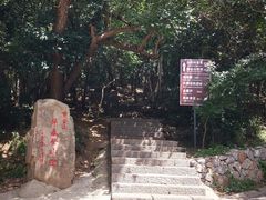 -紫金山山顶公园