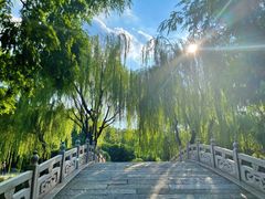 -济南大明湖景区