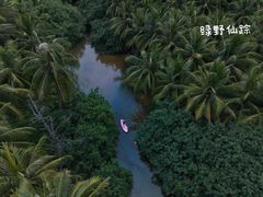 -亚龙湾热带天堂森林公园