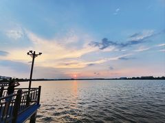 -鹅湖玫瑰文化园