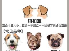 -守诺宠物医院·眼科· 神经外科·爬宠专科(虹口店)