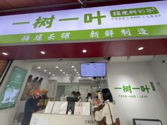 -一树一叶·福建茶档(石鼓路店)