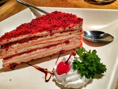 红丝绒千层-Aqua Oasis 水天堂(爱山广场店)