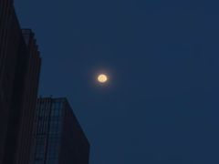 -潭村(地铁站)
