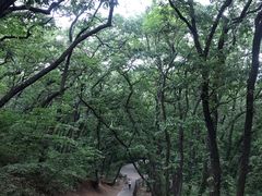 -皇藏峪国家森林公园