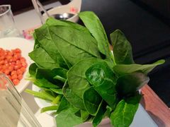 -涿派·炝锅鱼(涿州店)