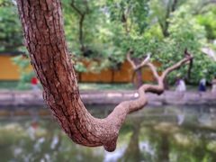 -西园寺