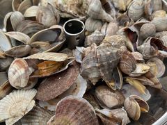 -一口猪海鲜浑锅·东北家常菜