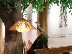 -大理董·董家小厨野生菌火锅(古城旗舰店)