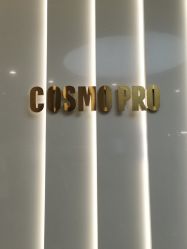 -COSMO PRO造型
