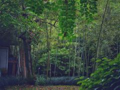 -九曲溪竹筏码头