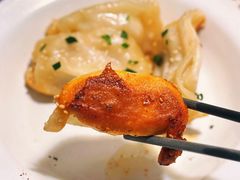 锅贴-舒蔡记生煎菜饭(云南中路店)