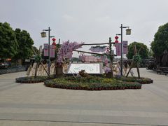 -金卉庄园