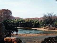 -河南省黄河迎宾馆