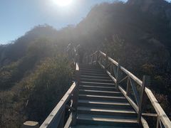 -大岭沟猕猴桃谷风景区