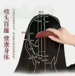 -章光101防脱养发荟