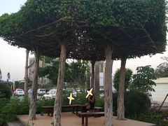 -厦门园林博览苑