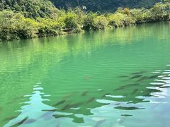 -靖西鹅泉风景区