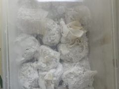 -袁记云饺(鼓楼店)