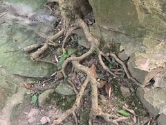 -杭州黄龙洞