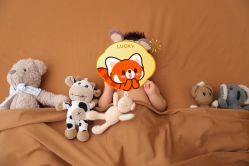 -猴公子儿童摄影(严选商家店)