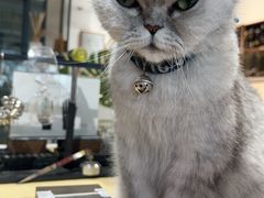 -Oasis绿洲银饰珍珠手作diy(壹方城店)