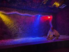 -碧中海汤泉汗蒸酒店