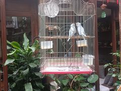 -束河人家(南锣鼓巷店)