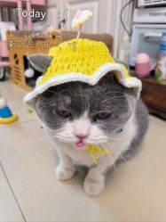 -由甲·美甲美睫工作室