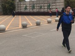 -武汉大学-樱园