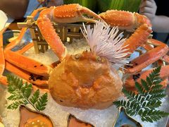 -Mr.Fish鱼鲜生海鲜放题(高德置地冬广场店)
