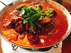 红烧羊肉-丁老爷子苏香圆