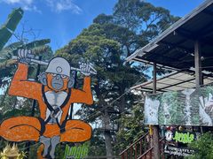 -清迈丛林飞跃 JungleFlight