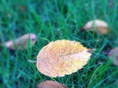 iphone_upload_pic-上海怡沁园度假酒店