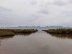 -哈素海